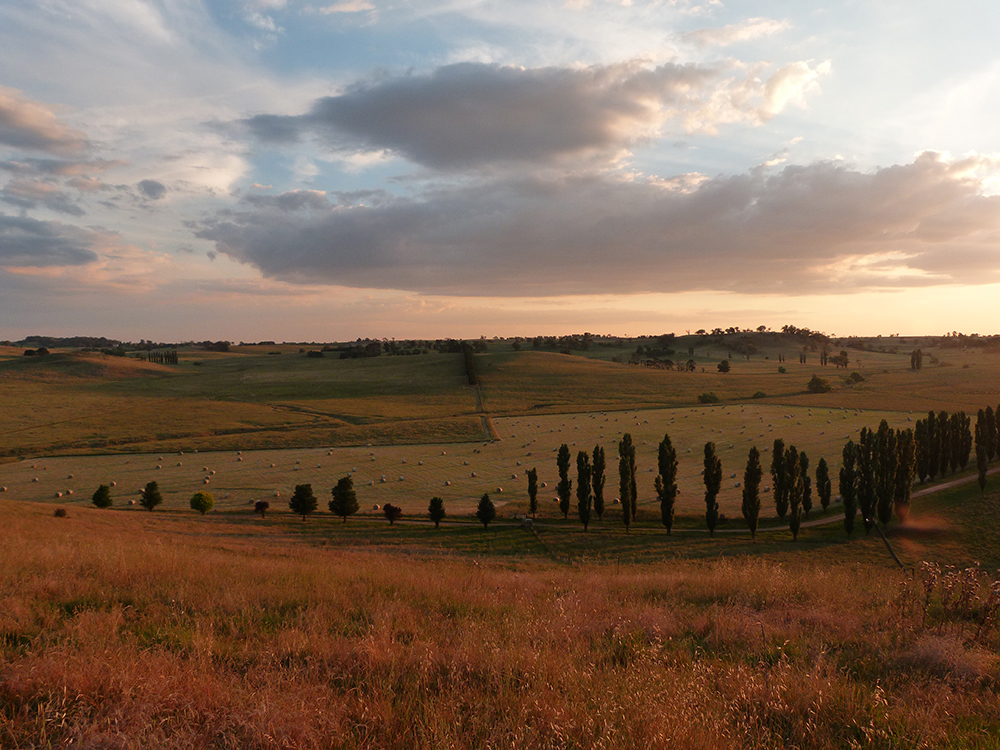 autumn sunset